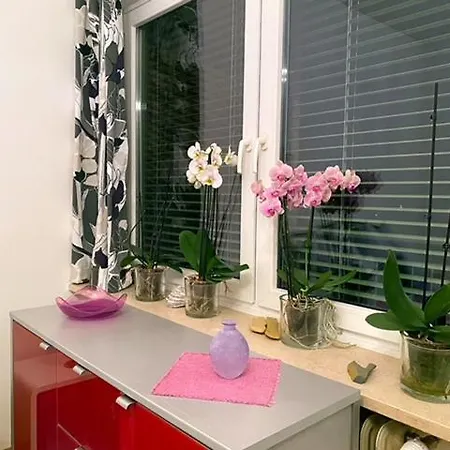 Ferienwohnung Anita Appartamento