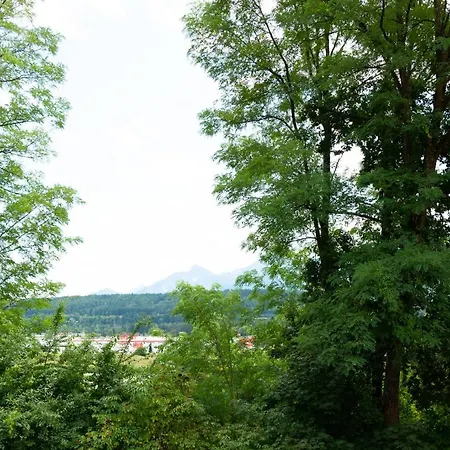 Ferienwohnung Anita Appartamento *