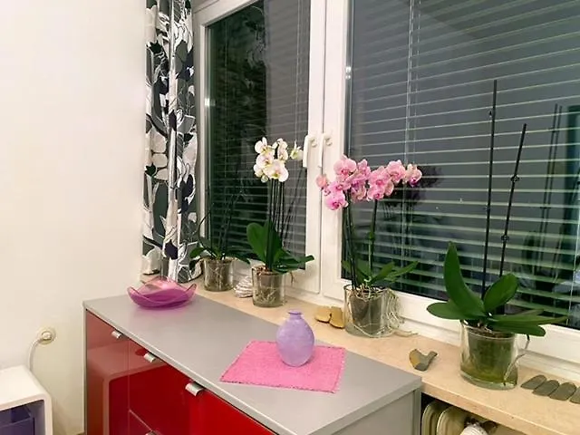 Ferienwohnung Anita Apartman